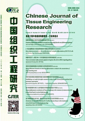 中国组织工程研究