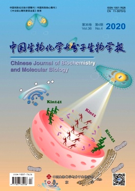 中国生物化学与分子生物学报